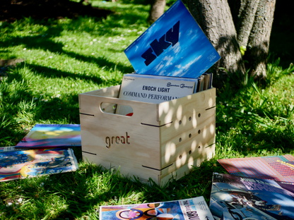 NZ-made vinyl storage box crafted from plywood with records, outdoor setting.