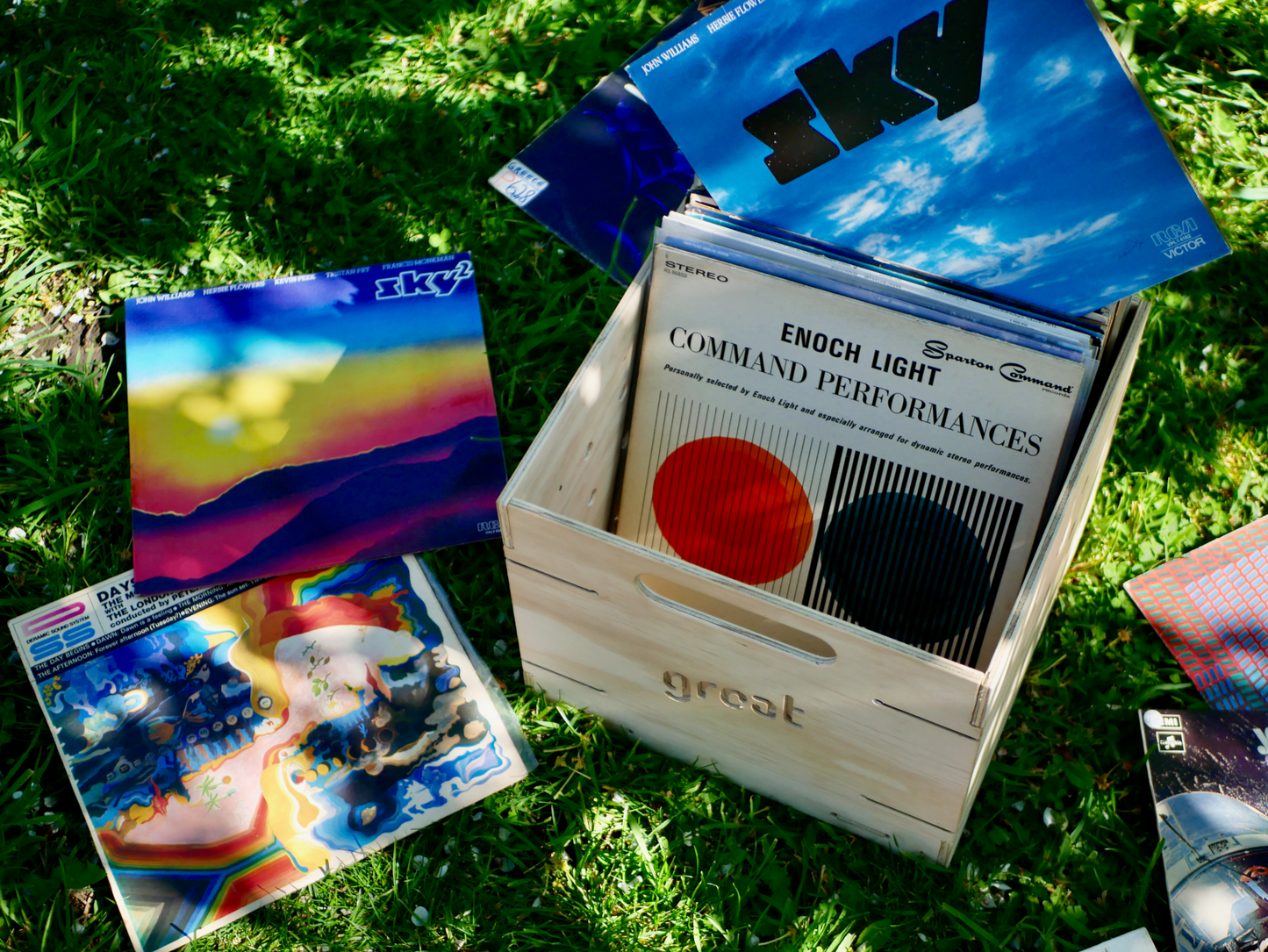 Vinyl storage box holding records outdoors.